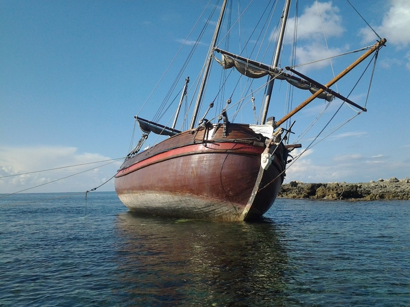 ¡Salvemos la nave juntos! ¡Salvemos la nave juntos!