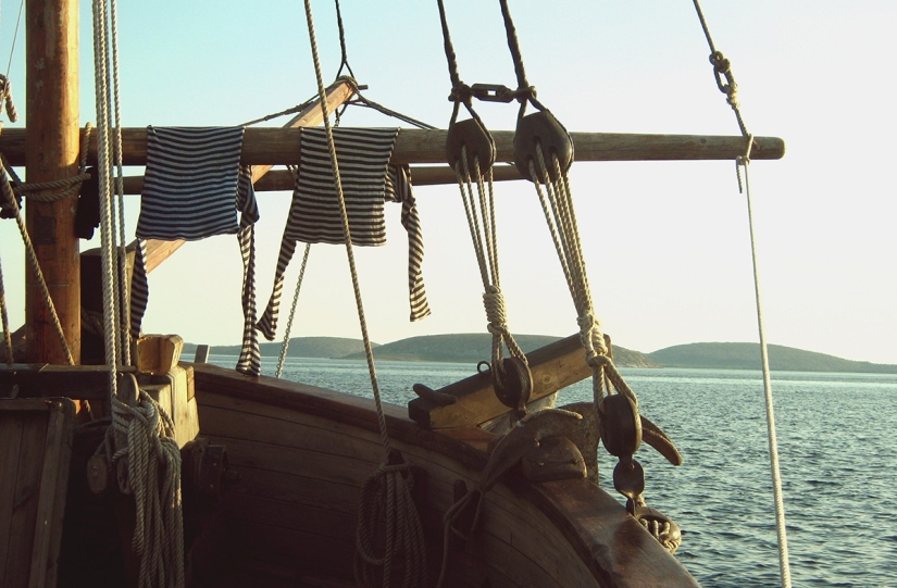 ¡Salvemos la nave juntos! ¡Salvemos la nave juntos!