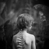 Se acaban de anunciar las fotografías ganadoras del concurso “Naturaleza” de la revista AAP, y aquí están las 14 mejores fotografías