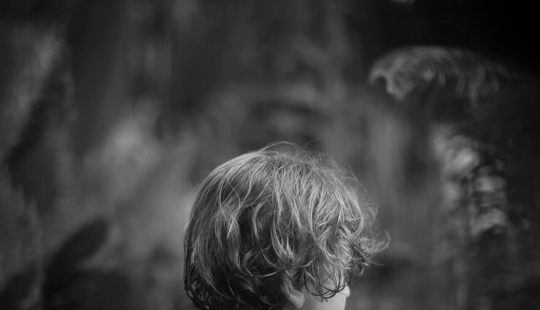 Se acaban de anunciar las fotografías ganadoras del concurso “Naturaleza” de la revista AAP, y aquí están las 14 mejores fotografías