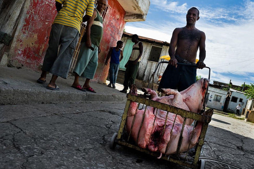 Secretos del sacrificio ritual afrocubano