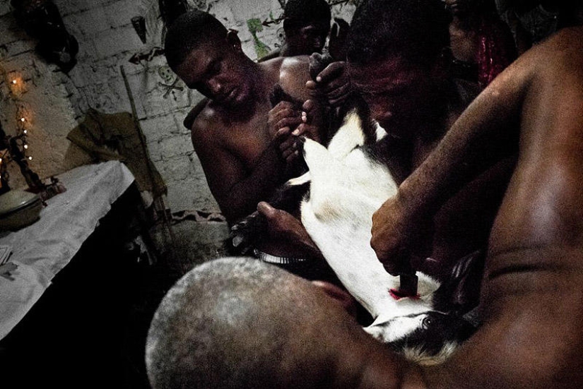 Secretos del sacrificio ritual afrocubano