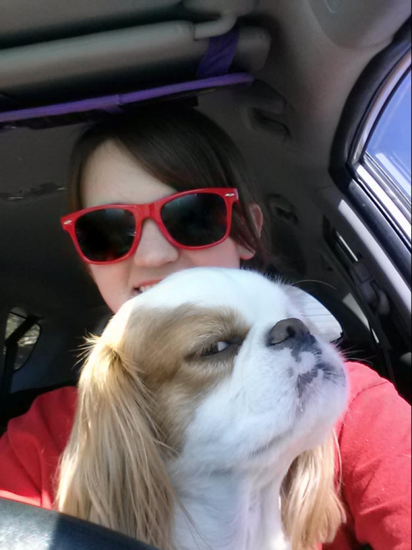 Selección emocional: Miradas de soslayo en el mundo animal Selección emocional: Miradas de soslayo en el mundo animal