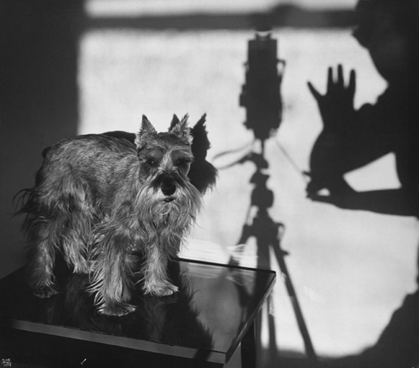 Self-portraits of photographers (part 1)