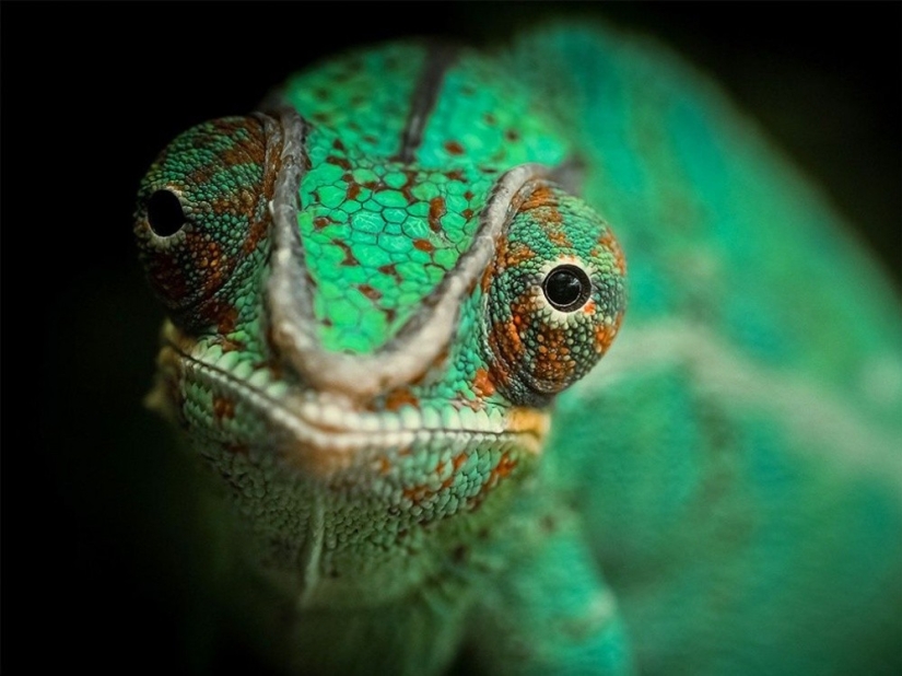 September's Best National Geographic Photos September's Best National Geographic Photos