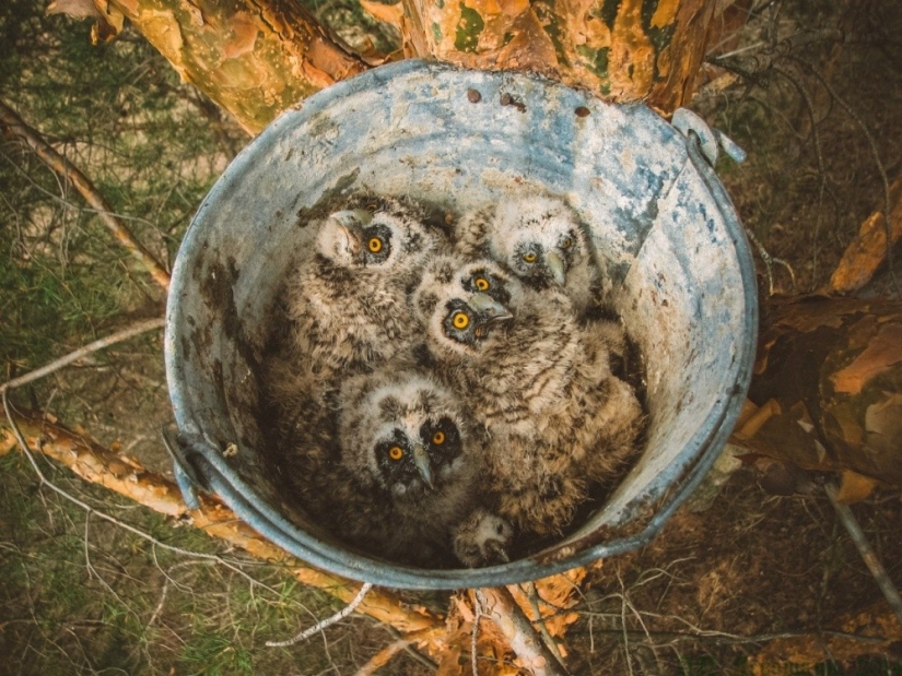 September's Best National Geographic Photos September's Best National Geographic Photos