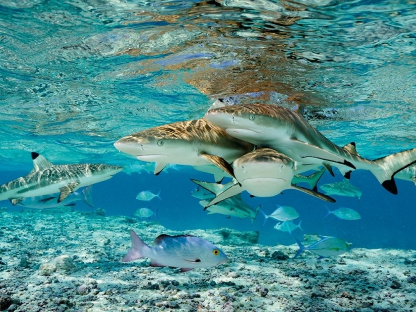 September's Best National Geographic Photos September's Best National Geographic Photos