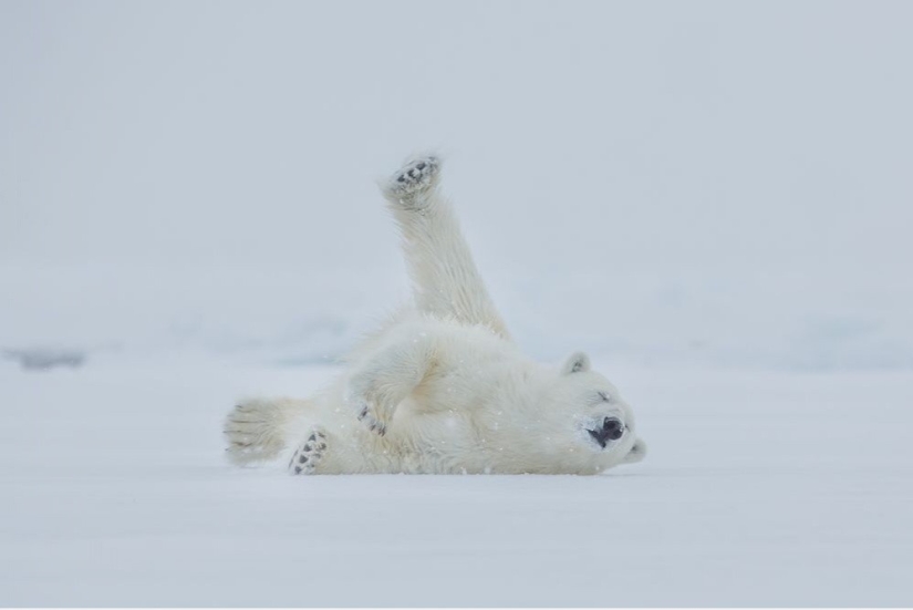 September's Best National Geographic Photos September's Best National Geographic Photos
