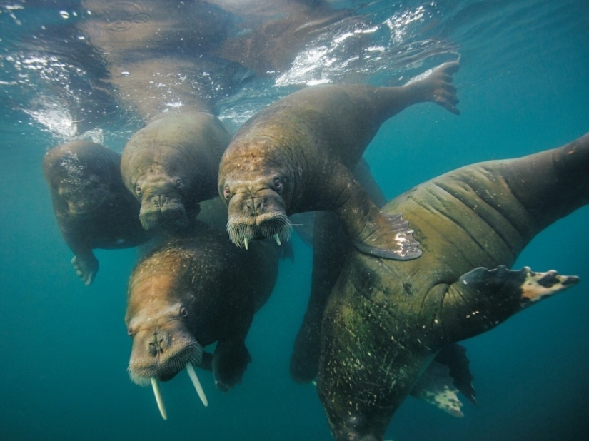 September's Best National Geographic Photos September's Best National Geographic Photos