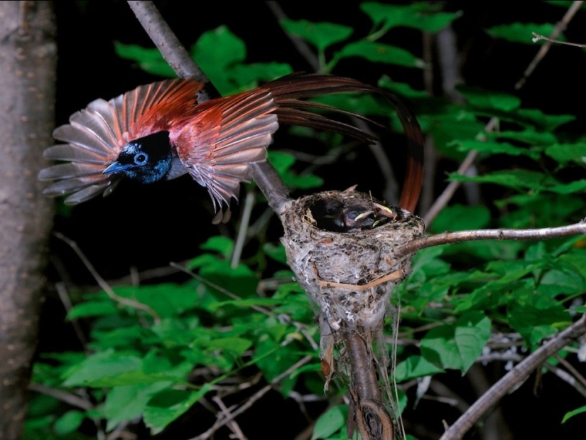 September's Best National Geographic Photos September's Best National Geographic Photos