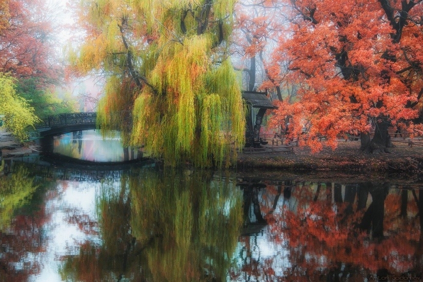 September's Best National Geographic Photos September's Best National Geographic Photos