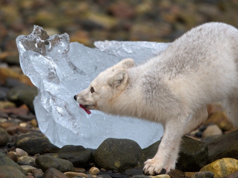 September's Best National Geographic Photos September's Best National Geographic Photos