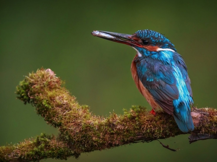 September's Best National Geographic Photos September's Best National Geographic Photos