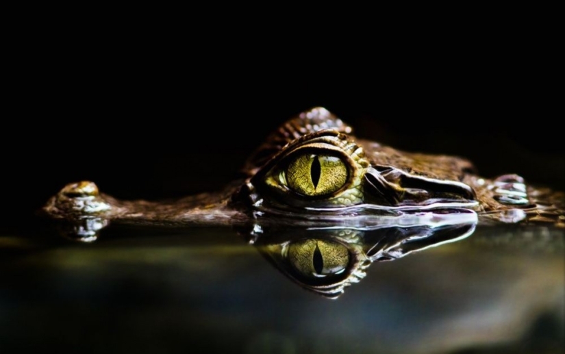 September's Best National Geographic Photos September's Best National Geographic Photos