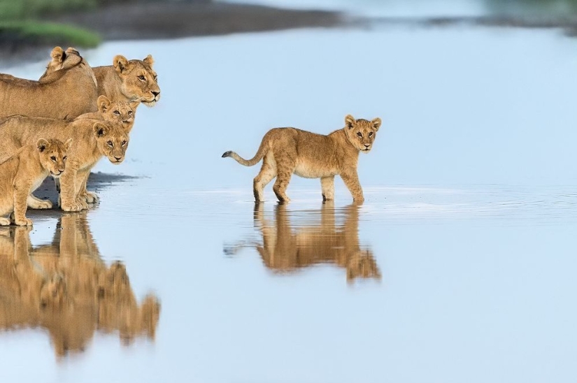 September's Best National Geographic Photos September's Best National Geographic Photos