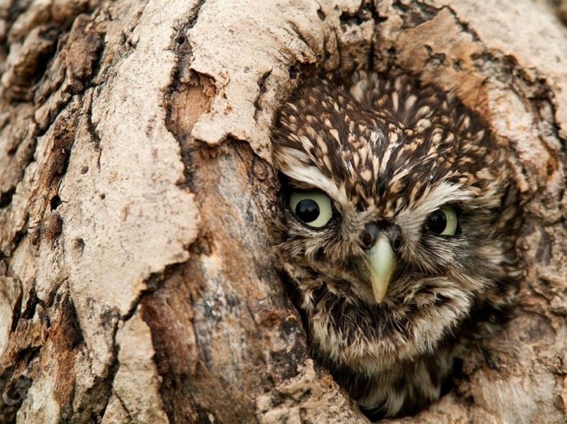 September's Best National Geographic Photos September's Best National Geographic Photos