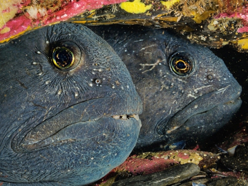 September's Best National Geographic Photos September's Best National Geographic Photos