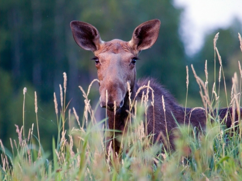 September's Best National Geographic Photos September's Best National Geographic Photos