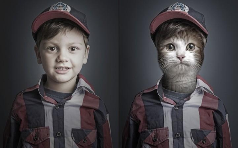 Serie de fotos divertidas de gatos y sus dueños. Serie de fotos divertidas de gatos y sus dueños.