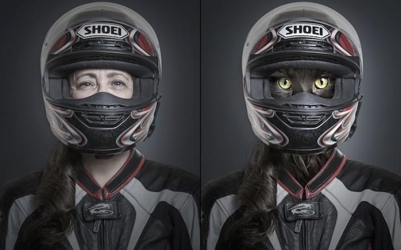 Serie de fotos divertidas de gatos y sus dueños. Serie de fotos divertidas de gatos y sus dueños.