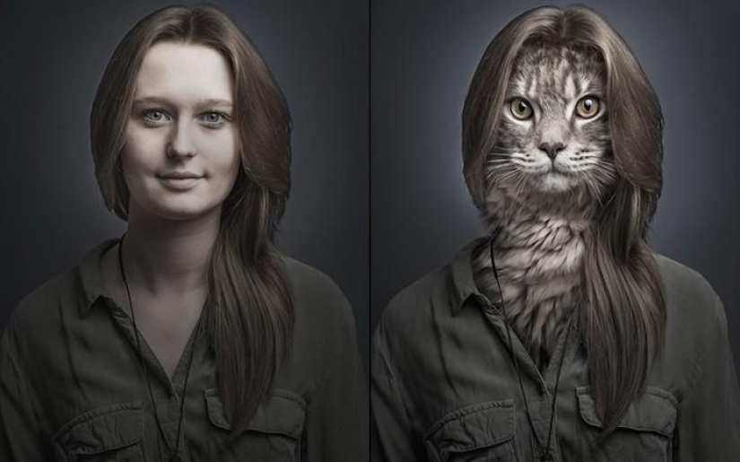 Serie de fotos divertidas de gatos y sus dueños. Serie de fotos divertidas de gatos y sus dueños.