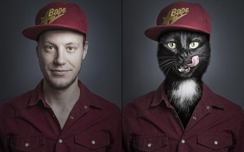 Serie de fotos divertidas de gatos y sus dueños. Serie de fotos divertidas de gatos y sus dueños.