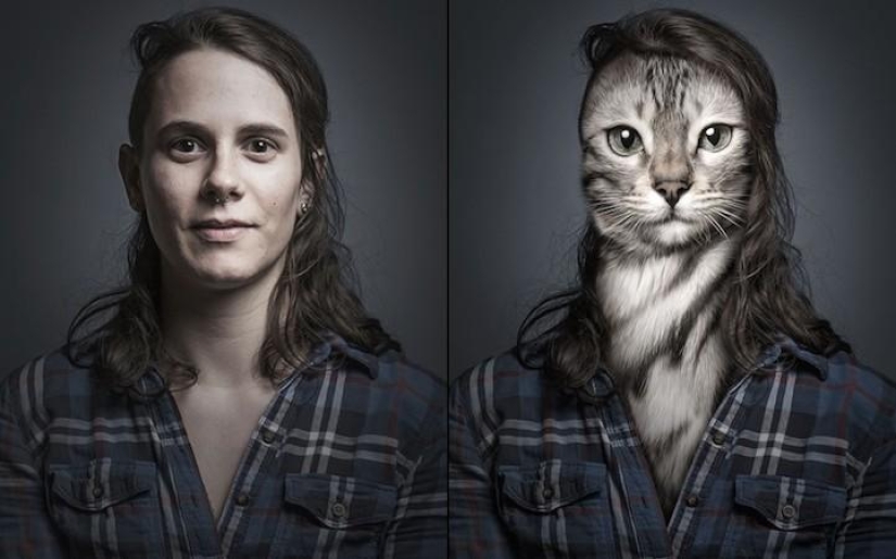 Serie de fotos divertidas de gatos y sus dueños. Serie de fotos divertidas de gatos y sus dueños.