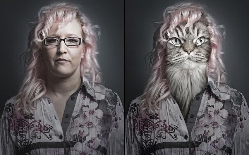 Serie de fotos divertidas de gatos y sus dueños. Serie de fotos divertidas de gatos y sus dueños.