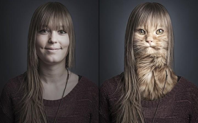 Serie de fotos divertidas de gatos y sus dueños. Serie de fotos divertidas de gatos y sus dueños.