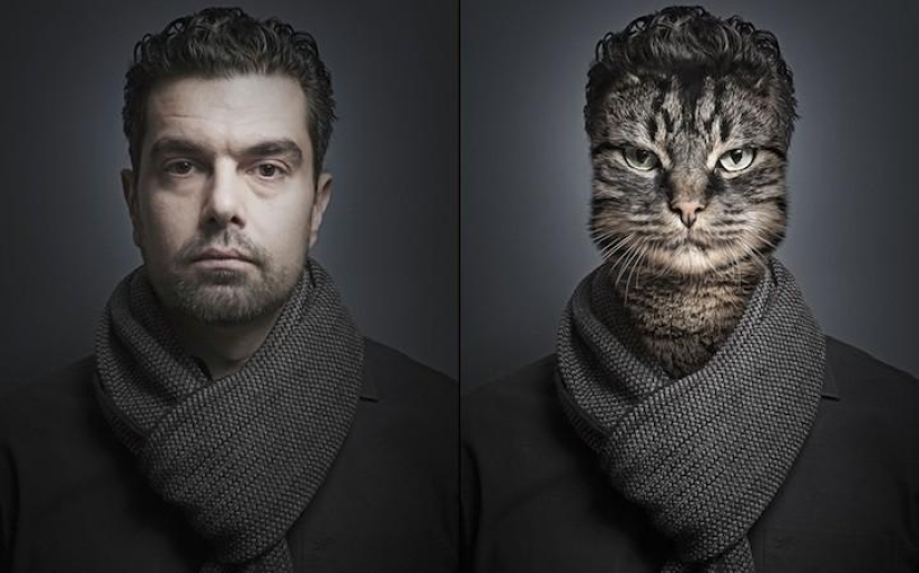 Serie de fotos divertidas de gatos y sus dueños. Serie de fotos divertidas de gatos y sus dueños.