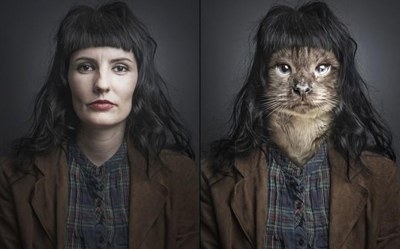 Serie de fotos divertidas de gatos y sus dueños. Serie de fotos divertidas de gatos y sus dueños.