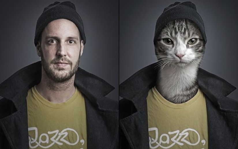 Serie de fotos divertidas de gatos y sus dueños. Serie de fotos divertidas de gatos y sus dueños.