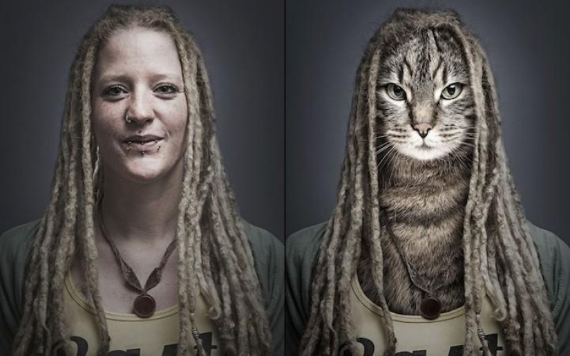 Serie de fotos divertidas de gatos y sus dueños. Serie de fotos divertidas de gatos y sus dueños.