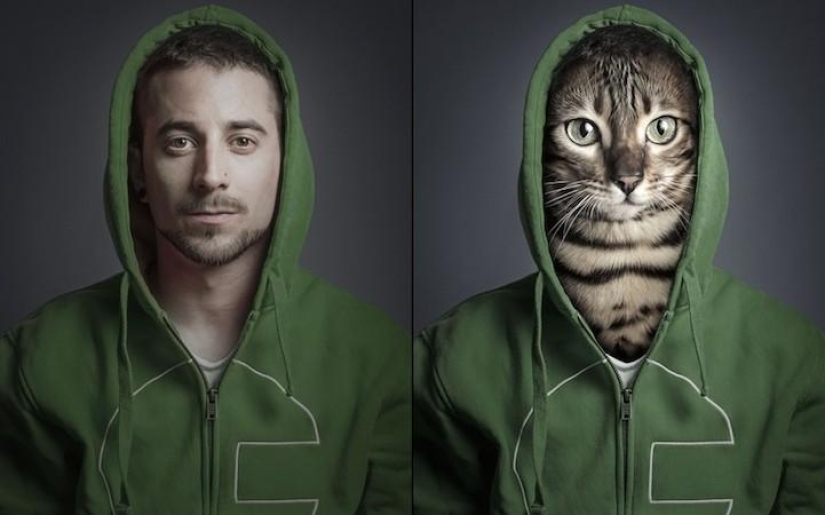 Serie de fotos divertidas de gatos y sus dueños. Serie de fotos divertidas de gatos y sus dueños.