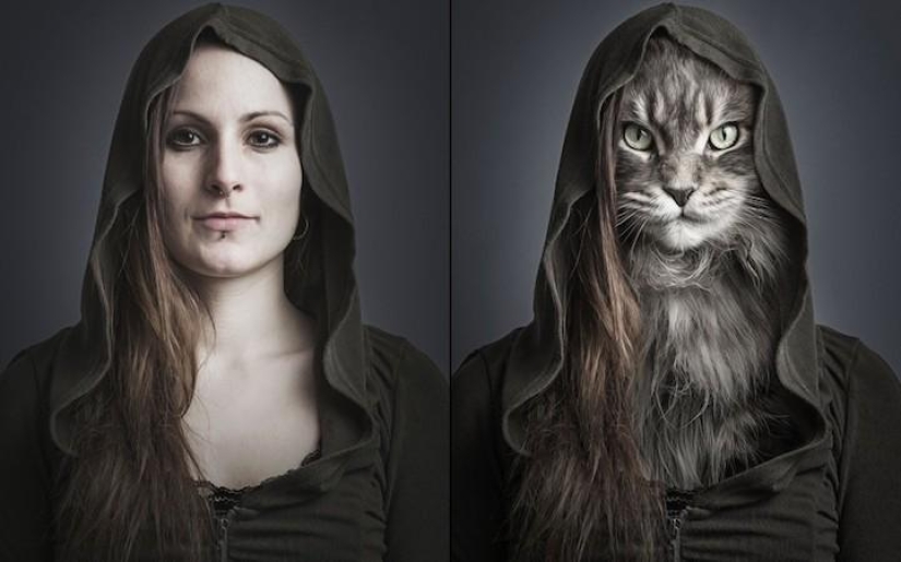 Serie de fotos divertidas de gatos y sus dueños. Serie de fotos divertidas de gatos y sus dueños.