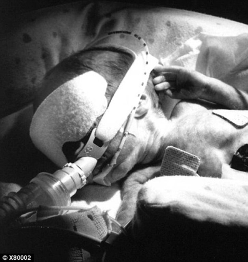 Seven-year-olds from the USA lived to finish school