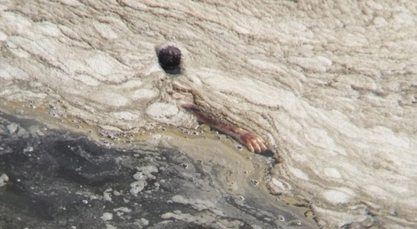 Shocking pictures of what athletes will have to swim in in Rio