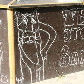 Signos de pavimento creativos