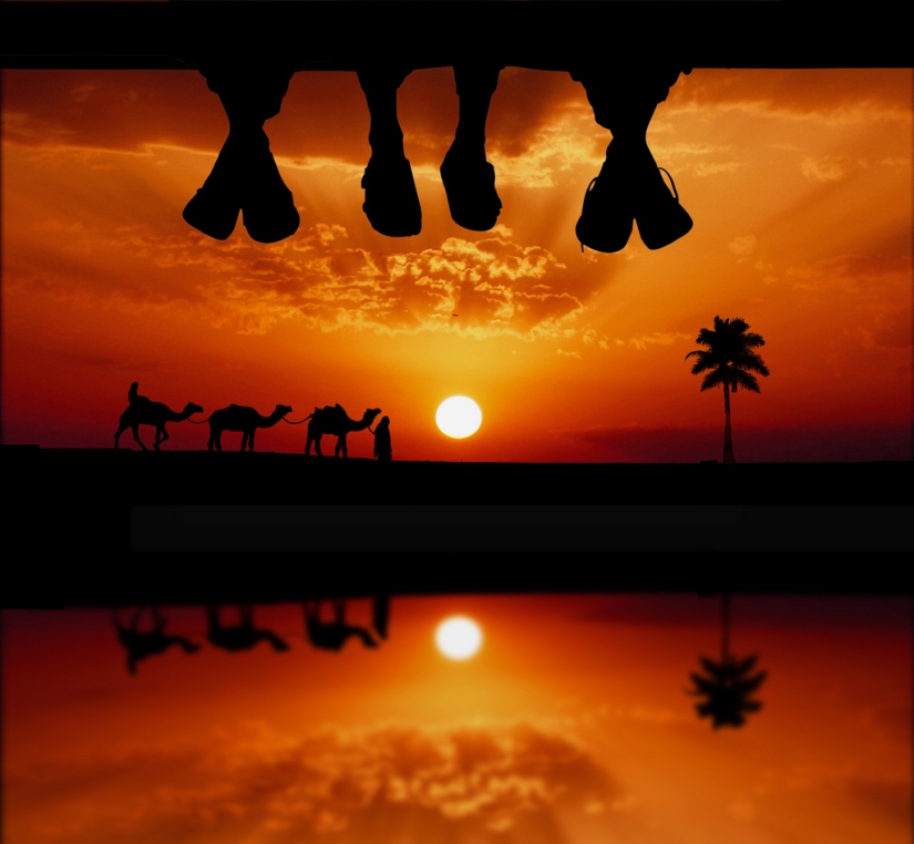 Silhouettes from photographer Navid Mugal