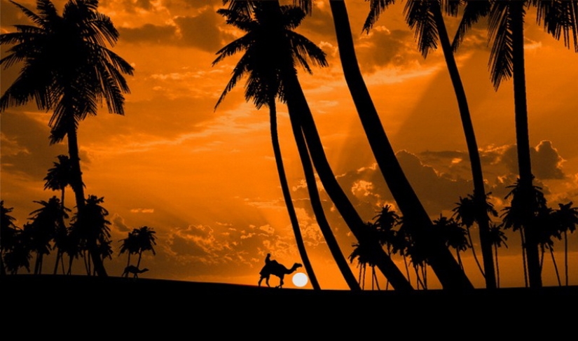 Silhouettes from photographer Navid Mugal