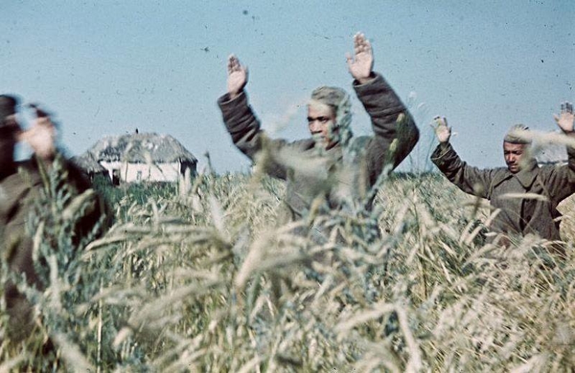 Sin la imagen del enemigo: foto de un corresponsal de guerra húngaro