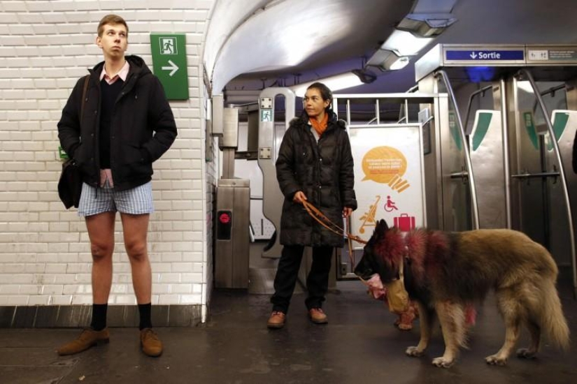 Sin pantalones y vergüenza: el flash mob más brillante de este invierno