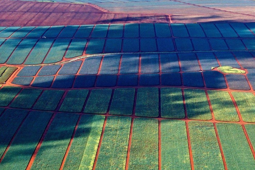 Sin photoshop: las fotos más exitosas del último mes Sin photoshop: las fotos más exitosas del último mes