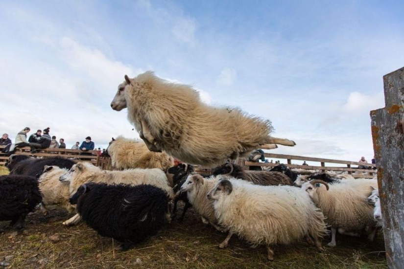 Sin photoshop: las fotos más exitosas del último mes Sin photoshop: las fotos más exitosas del último mes