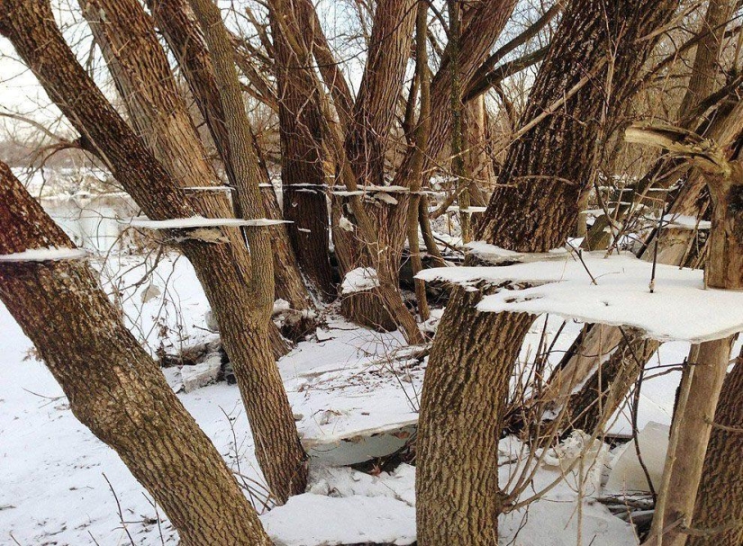 Sin photoshop: las fotos más exitosas del último mes Sin photoshop: las fotos más exitosas del último mes