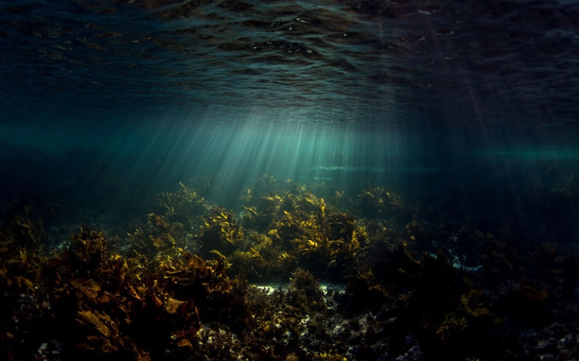Sincronicidad: el mundo submarino de Mikaela Skovranova