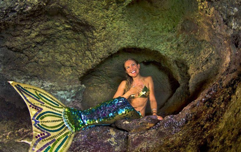 sirena profesional