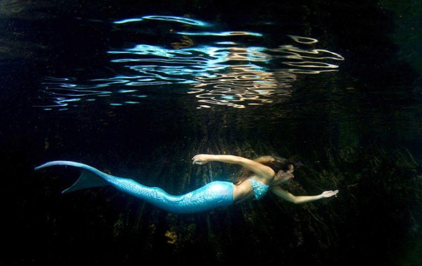 sirena profesional