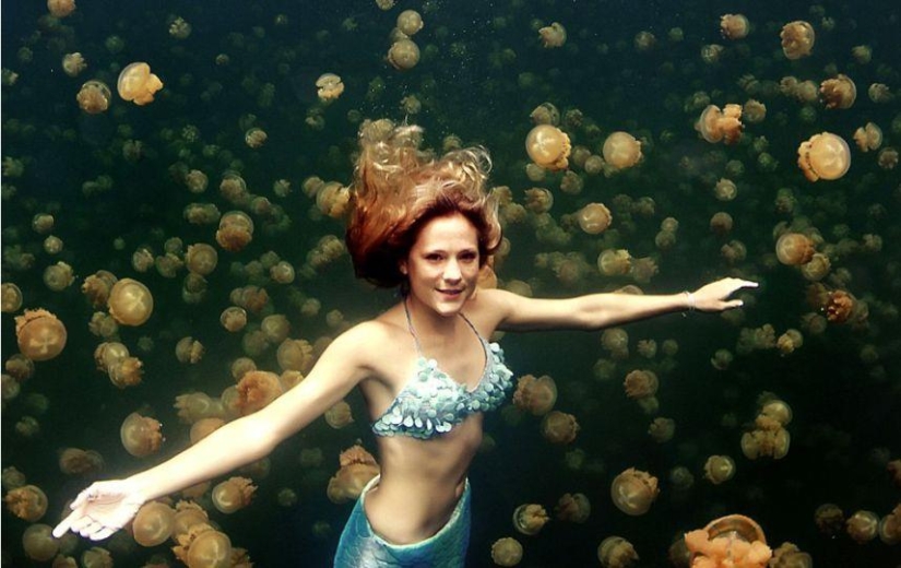 sirena profesional