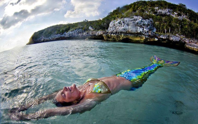 sirena profesional